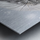 Melancholy of infinite sadness. The white vampire Metal print