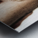 Face Of A Man With Beer Badge Metal print