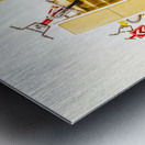 Still skating Metal print