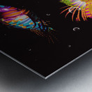 Colors of the tropic Metal print