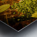 Flavours from the east Metal print