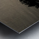 Silhouetted Metal print