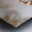 Smart phone catching a serene autumn landscape Metal print