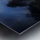 Vintage Beauty In Nature Metal print