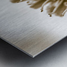 Beige n bloom Metal print