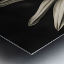 Floral elegance Metal print