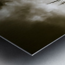 Beauty and barren bushland Metal print