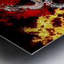 Double Dragon Metal print