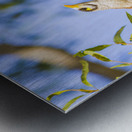 Noisy Minor Metal print