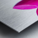 Beauty and fashion swatch Metal print