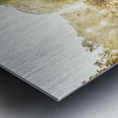 River Rush Metal print