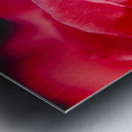 Intimate details Metal print