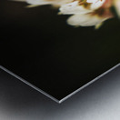 Wild darkness Metal print