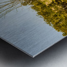 Bucolic backroads Metal print