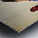 Conscious creator in awakening Metal print