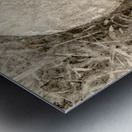 Traditional grass hockey Metal print