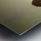 Zeehan Golf Course Metal print