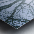Tree of frost bite Metal print
