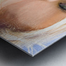 Wild By Nature Metal print