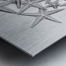 Sea staring Metal print