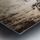 Horse Shoe U Metal print