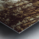 Off road trails Metal print