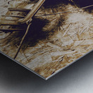 Closeup Of Antique Oil Lamps Metal print