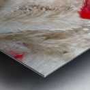 In quill colors Metal print