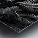 Ferns by the river Metal print