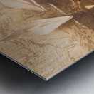 Sealight Metal print