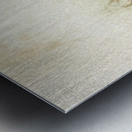 Horse drawn funeral cart  Metal print