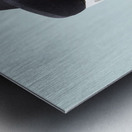 Woman rolling rich with US money Metal print