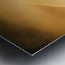 Way Outback Metal print