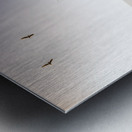 Derwent River reflections Metal print