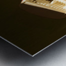 Shadows of a Bond remake Metal print