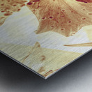 Hi-biscus Metal print