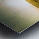 Trail to Trial Metal print