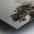 White washed Metal print