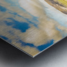 Fields of Plenty Metal print