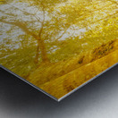 Water in fall Metal print