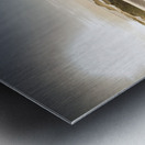 Summer oasis Metal print