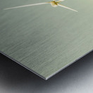 Road to green farming Metal print