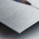 Blue Bell Agapanthus flower  Metal print