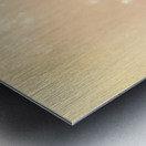 Romantic pinup girl. Retro summer party Metal print