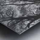 Parallels Metal print