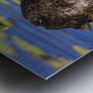 Duck Hunt Metal print