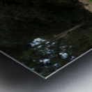 Killing Time Metal print