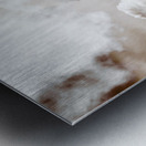 Sky Dance Metal print