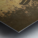 Wayfarer Waters Metal print