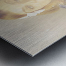 Vintage cookery girl baking with pinch of flour Metal print